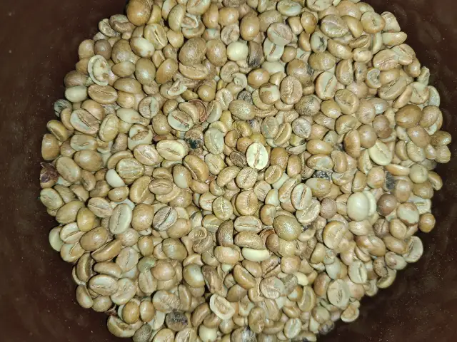Green Beans & Roast Beans Robusta Jollong