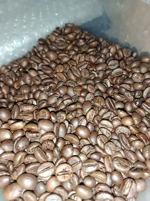 Green Beans & Roast Beans Robusta Jollong - Foto 2