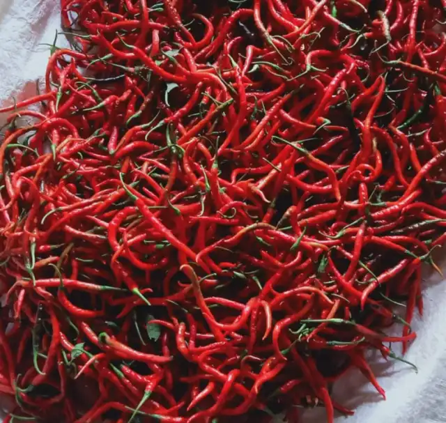 Cabai Merah